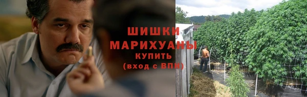 стафф Иннополис