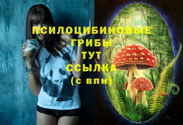 крисы Инсар