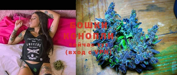 стафф Иннополис
