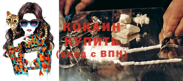 стафф Иннополис