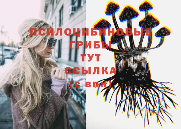 крисы Инсар