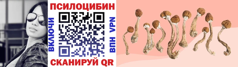 Купить закладки  Зея  Галлюциногенные грибы GOLDEN TEACHER 